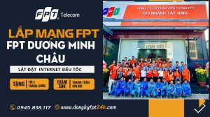 Fpt Dương minh châu