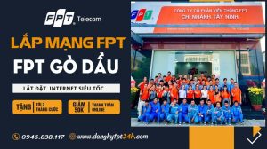 Fpt gò dầu
