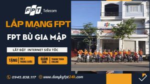 FPT bù gia mập